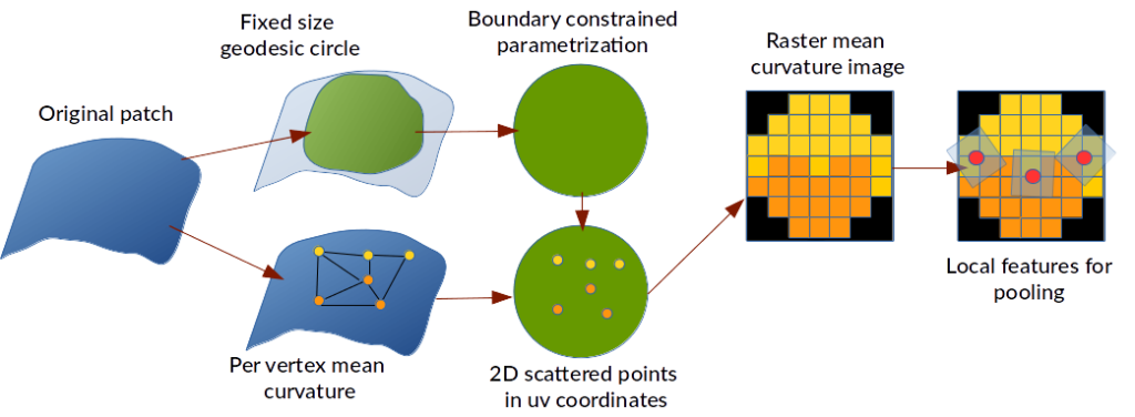 figure3b