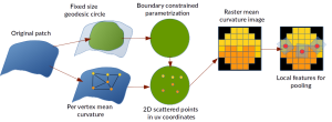 figure3b